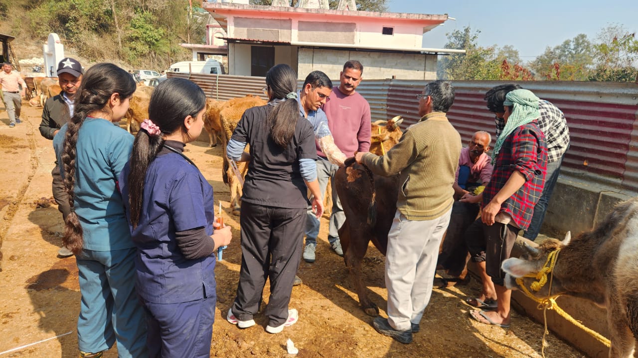 Veterinary and rural outreach